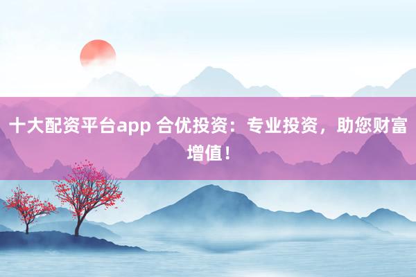 十大配资平台app 合优投资：专业投资，助您财富增值！