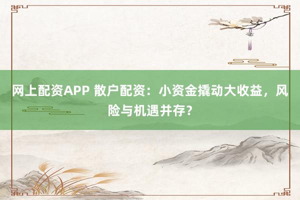 网上配资APP 散户配资：小资金撬动大收益，风险与机遇并存？