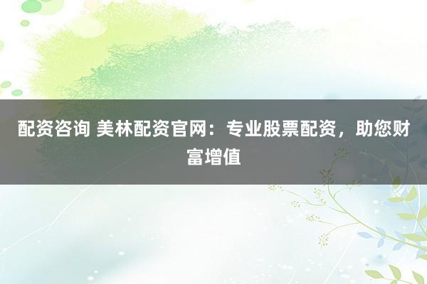 配资咨询 美林配资官网：专业股票配资，助您财富增值