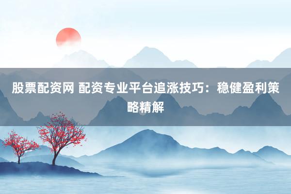 股票配资网 配资专业平台追涨技巧：稳健盈利策略精解