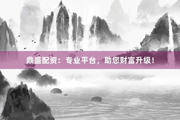 鼎盛配资：专业平台，助您财富升级！