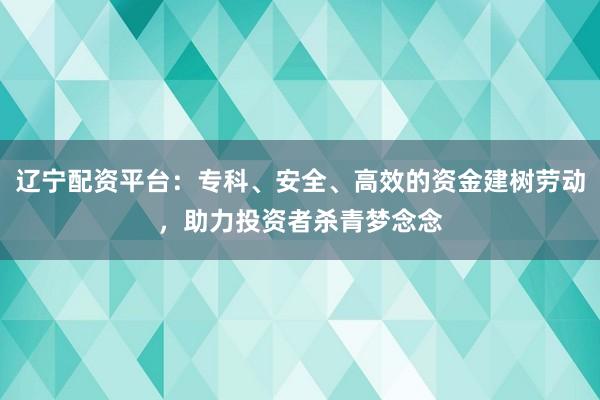 辽宁配资平台：专科、安全、高效的资金建树劳动，助力投资者杀青梦念念