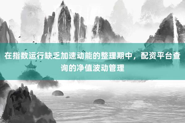 在指数运行缺乏加速动能的整理期中，配资平台查询的净值波动管理