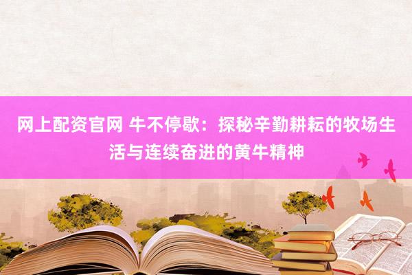 网上配资官网 牛不停歇：探秘辛勤耕耘的牧场生活与连续奋进的黄牛精神